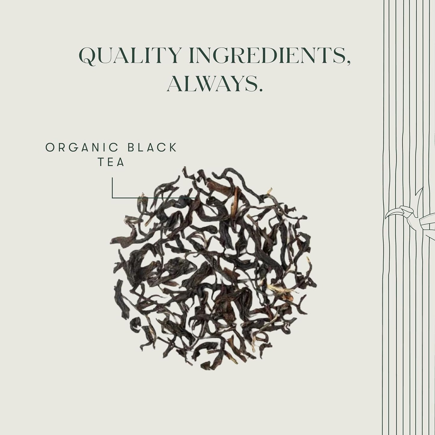 Luxmi Estates Queens Black Tea Blend 50 Tea Bags (100gm) Pack | Organic Black Tea | 50 Cups Bulk Pack