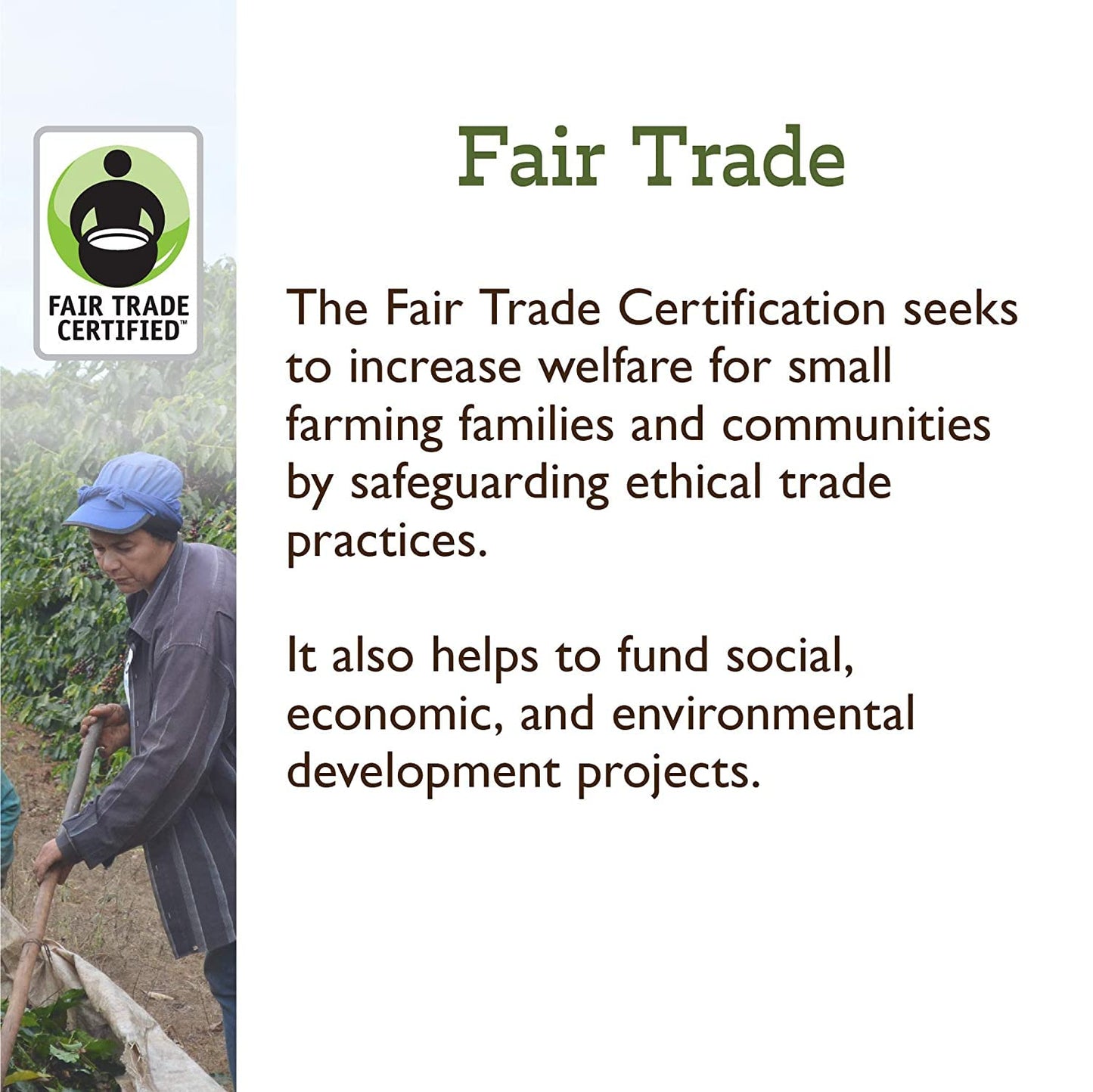 Fresh Roasted Coffee, Organic White Knight | USDA Organic, Kosher | Light Roast 24 Pods for K Cup Brewers