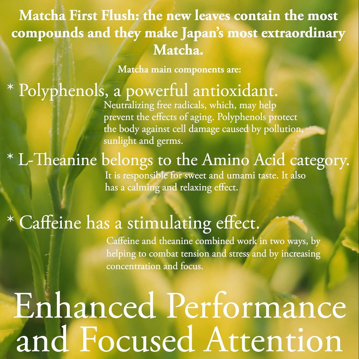 Organic Matcha Green Tea Powder | 3.5 OZ - 80 Servings | Latte & Smoothie Grade | Japanese - First Harvest - Stone Milled | By Pantenger