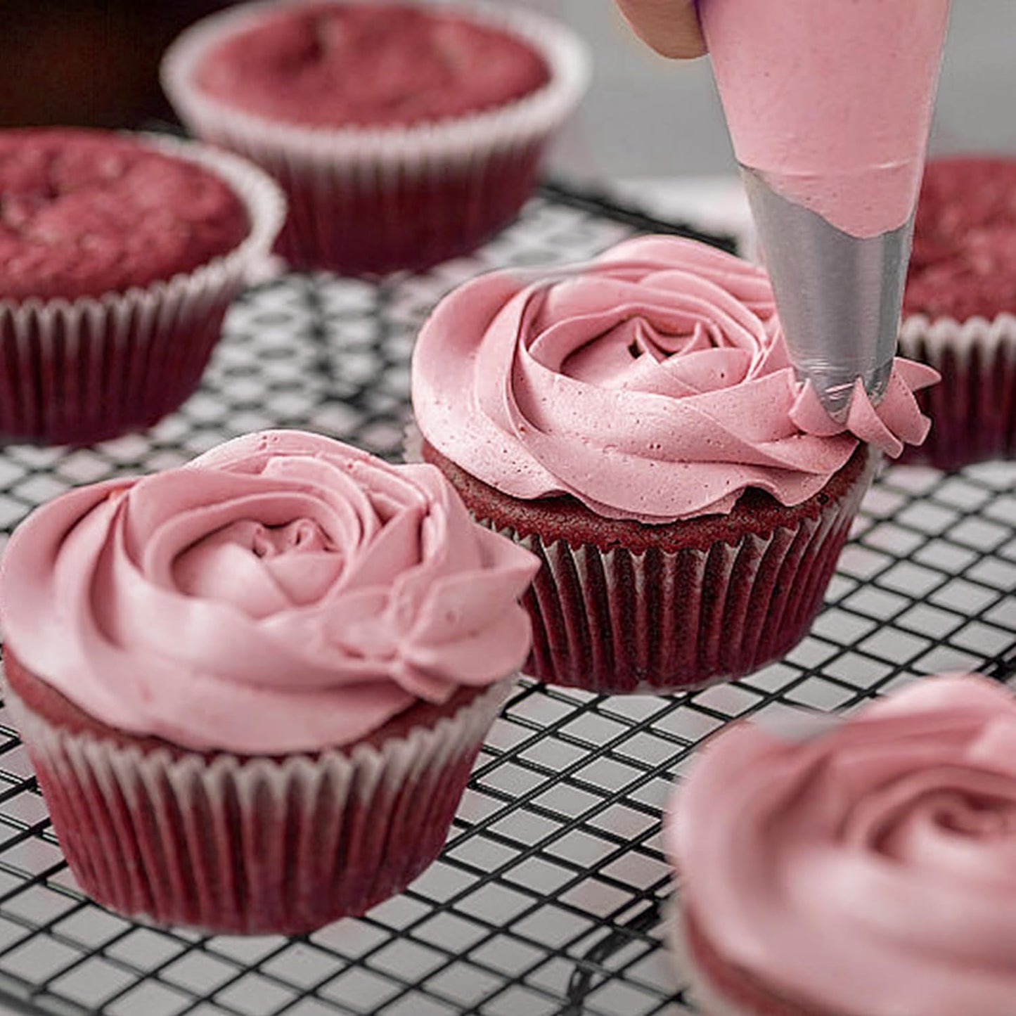 5PCS Large Piping Tips Set, COKUMA Stainless Steel Cake Decorating Tips, Frosting Icing Tips for Cupcakes, Cake, Cookie and Decorating (Dishwasher Safe)