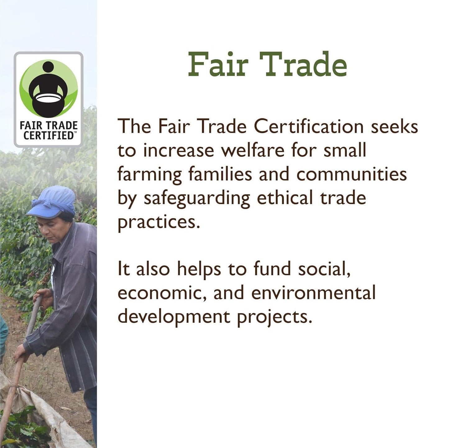 Fresh Roasted Coffee, Organic Drago Café Blend | USDA Organic, Kosher | Medium Roast 5 lb (80 oz) Ground