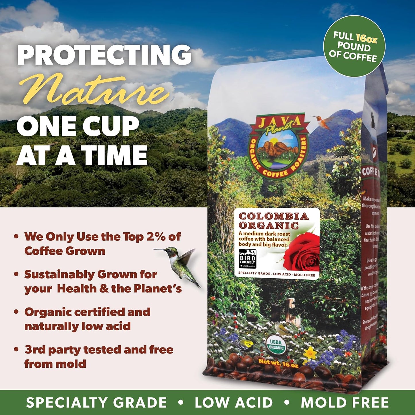 Low Acid Organic Coffee – Whole Bean, Mold-Free & Stomach Friendly by Java Planet, Colombian Single Origin, Medium Dark Roast, Smooth Full Flavored, 2x1LB Bag