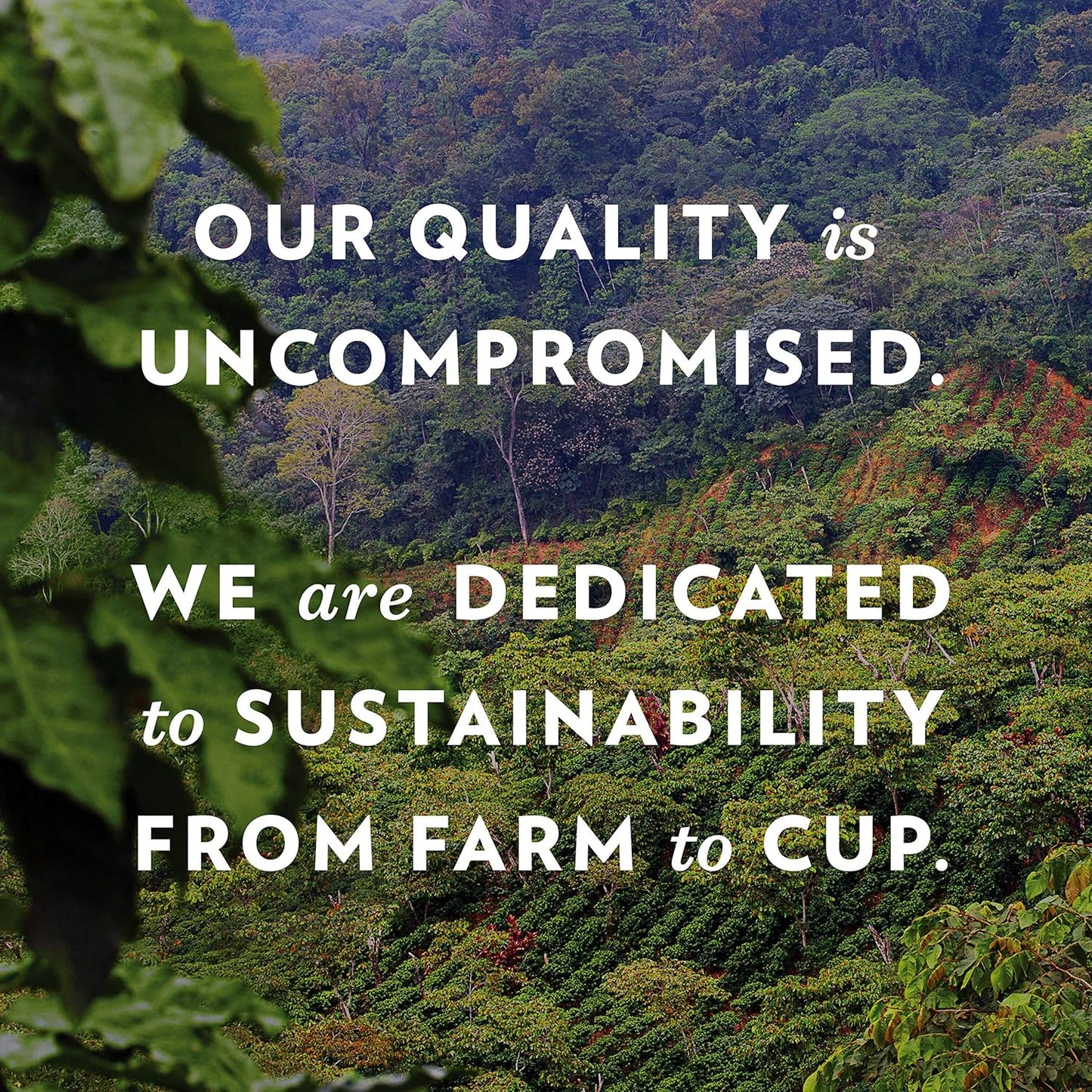 Community Coffee American Classic 96 Count Coffee Pods, Compatible with Keurig 2.0 K-Cup Brewers, 24 Count (Pack of 4)