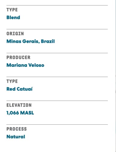 Joe Coffee Company (NYC Roaster), Great Heights Ground Specialty Coffee, 12 oz Bag, Rainforest Alliance Certified, Kosher, Climate Friendly