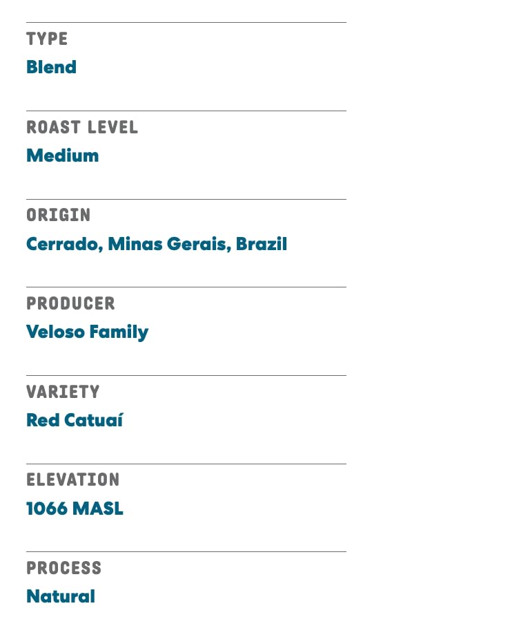 Joe Coffee Company - The Amsterdam Ground Coffee, 6 oz Bag | NYC Roaster, RFA Certified, Kosher, Climate-Friendly, Specialty Grade