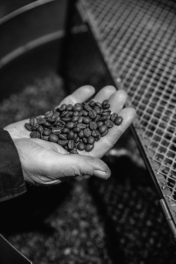 Bristot Espresso Beans – Medium Roast Italian Whole Bean Coffee – For Home Espresso Machines – 2.2 lb (1000g) Bag