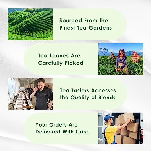 Tealeaf & Co. Lemon Ginger Green Tea with Ginger, Lemon Flavor, Orange Peel, Mint & Black Pepper - Organic Green Tea Bags with Fresh Herbs and Spices - Vegan - 100 Teabags (7.055oz/200gm)