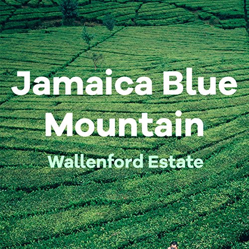 Jamaican Blue Mountain Coffee, Wallenford, 100% Certified, Ground, Fresh Roasted, 16-ounce