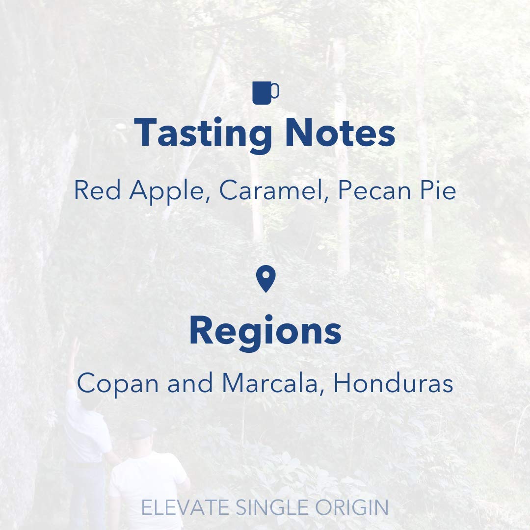 Partners Coffee Roasters, Elevate Single Origin, Whole Bean Coffee - 12 Ounce - Medium-Dark Roast