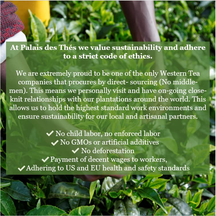 Palais des Thés - Geisha Flower - Green Tea & Cherry Blossom- 3.5oz Loose Leaf Metal Gift Tin, Serves 20-25 Cups