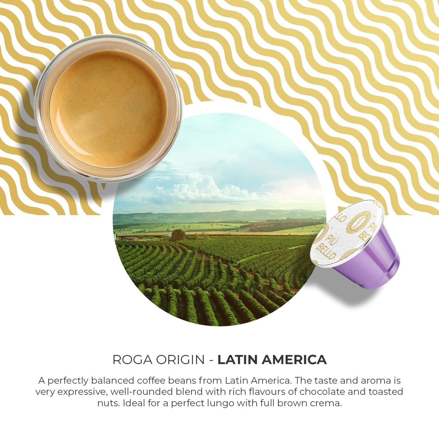 Piu Bello Roga Espresso Coffee Pods for Nespresso Original Machines – Compatible Capsules Pack – Rich & Balanced Taste – Strong Italian Espresso Flavor – Kosher Certified (60 Count, Single Flavor)