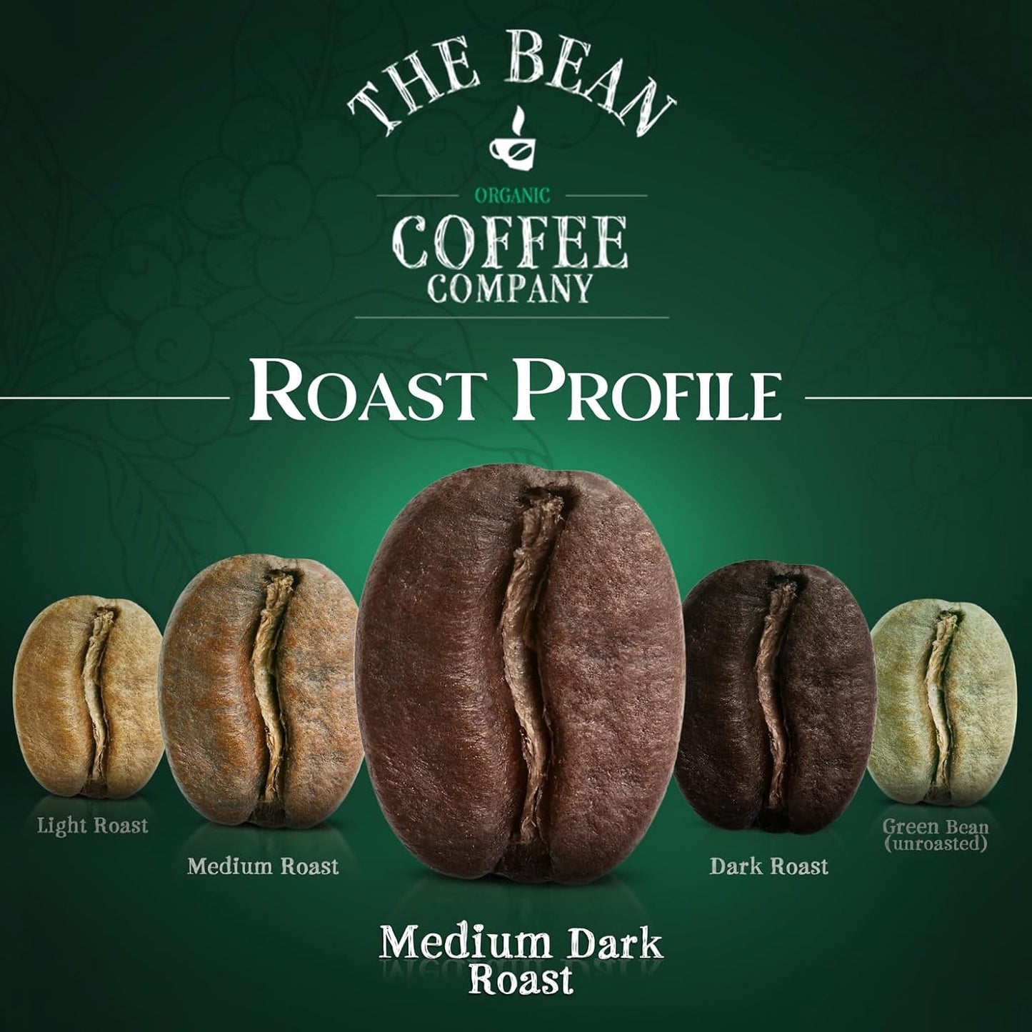 The Bean Organic Coffee Company Breakfast Blend, Medium Dark Roast, Whole Bean Coffee, 16-Ounce Bags (Pack of 2)