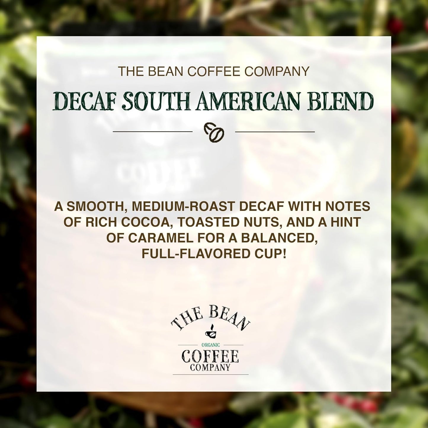 The Bean Organic Coffee Company Water Processed DECAF South America Blend, Medium Roast, Whole Bean Coffee, 16-Ounce Bag