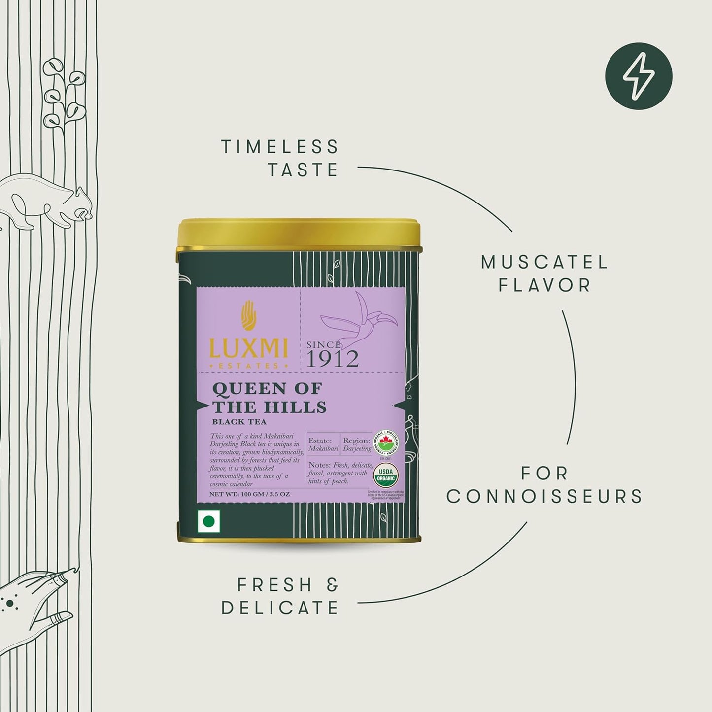 Luxmi Estates - Queen of the Hills - Organic Black Tea - Loose Leaf - 100g (50 Cups) | Freshly Harvested Organic Makaibari Darjeeling Tea | Best Natural Flavor Tea The World Has To Offer