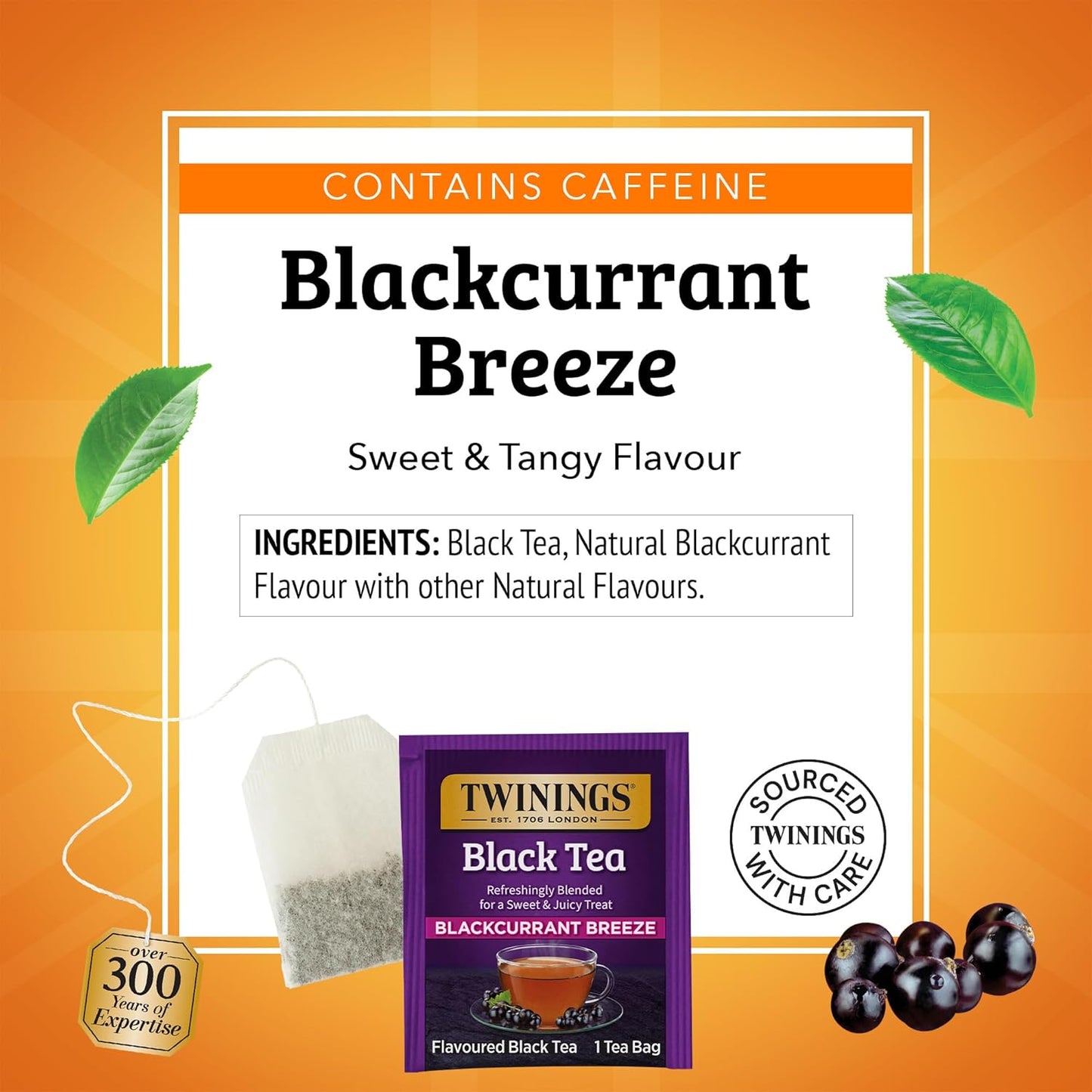 Twinings Blackcurrant Breeze Black Tea Individually Wrapped Bags, 20 Count (Pack of 6), Sweet, Tangy Taste, Caffeinated, Enjoy Hot or Iced, 120 Teabags