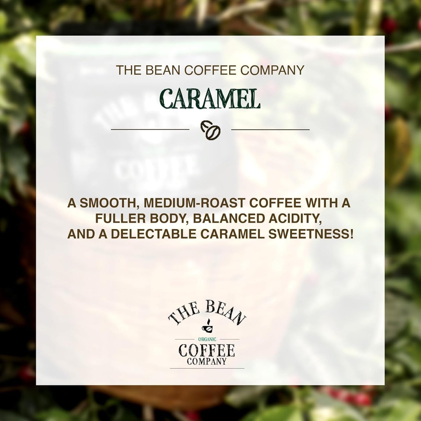 The Bean Organic Coffee Company Caramel, Medium Roast, Whole Bean Coffee, 16-Ounce Bags (Pack of 2)