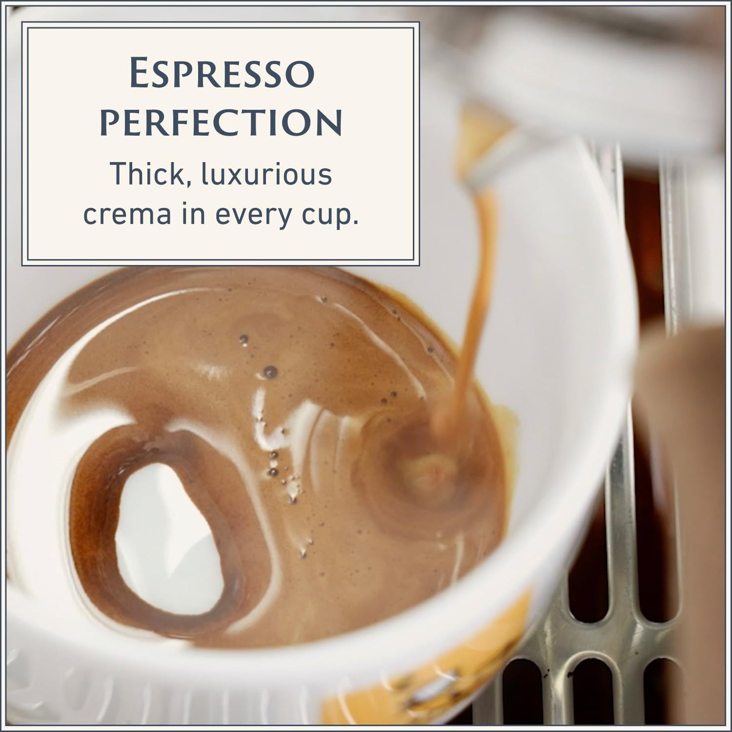 Filicori Zecchini Italian Espresso Beans – Whole Bean Coffee Medium Roast Arabica & Robusta Blend – Low Acidity, Slow Roasted – Kavè 2.2lb Bag