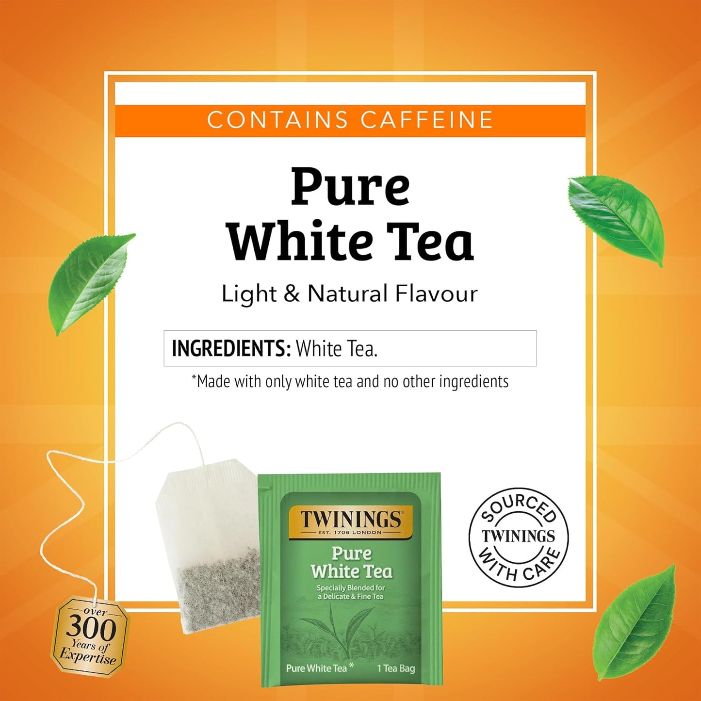 Twinings Pure White Tea Individually Wrapped Bags, 20 Count (Pack of 6), Light & Fresh, Caffeinated, Enjoy Hot or Iced, 120 Teabags