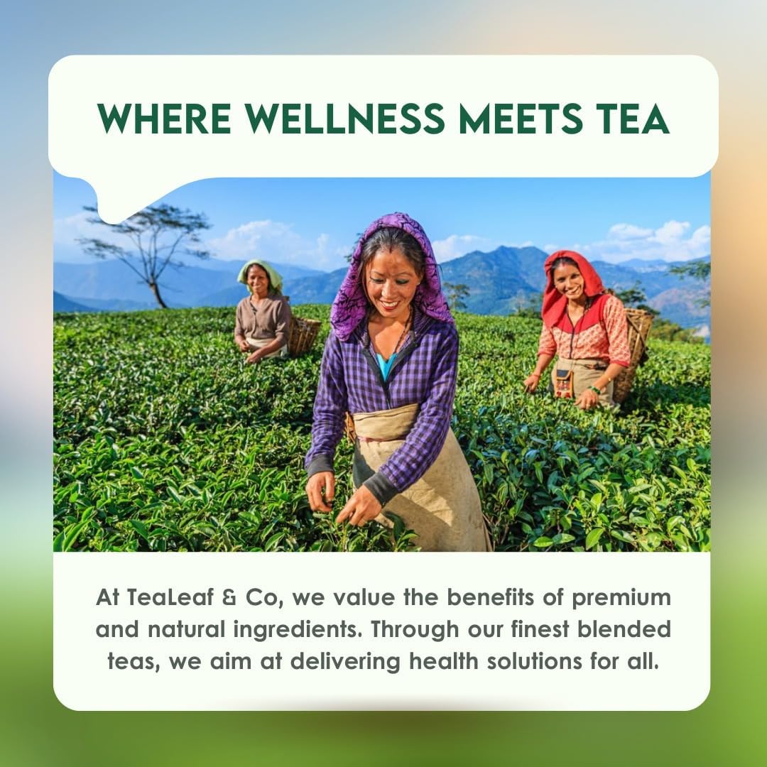 Tealeaf & Co. Turmeric Tulsi Holy Basil Green Tea Loose Leaf - Turmeric, Tulsi & Peppermint Tea Blended with Fresh Herbs & Spices - 50 Servings, Low Caffeine & Gluten Free (3.52oz/100gm)