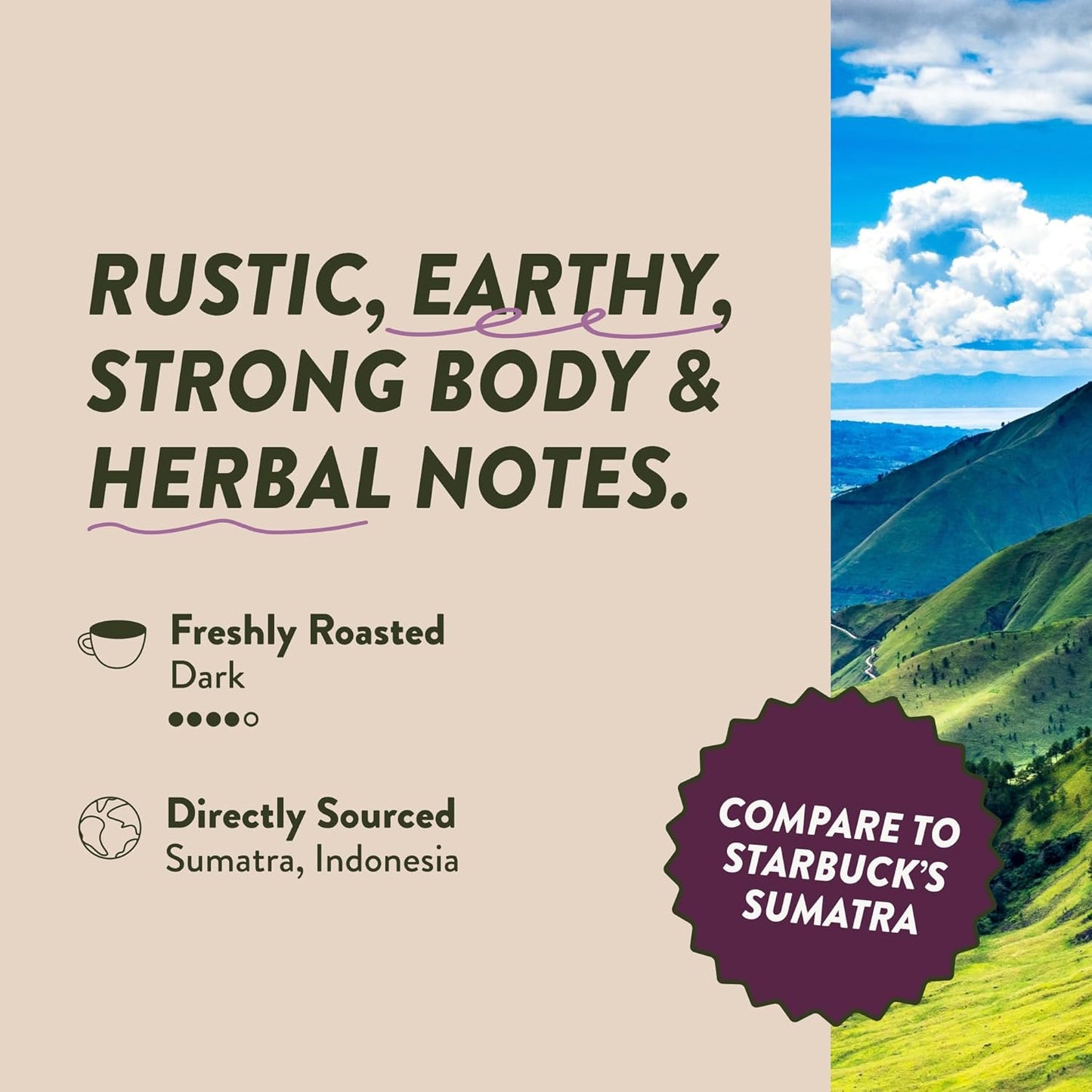 Angelino's Coffee, 96 Count, Compatible with Keurig 2.0 K-Cup Brewers (Sumatra Dark, 96 Count)