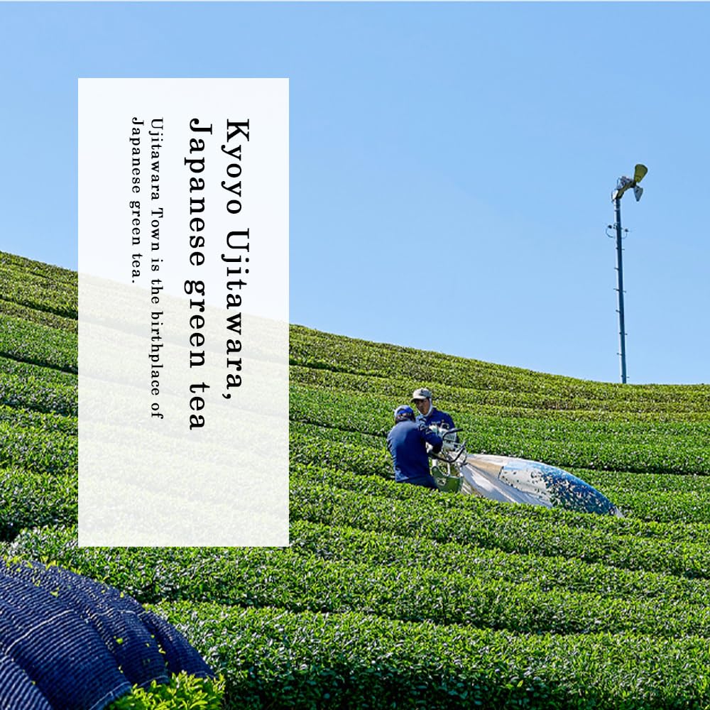 TOMOSAN Organic Sencha - Loose Leaf Japanese Premium Green Tea, USDA Certified, Uji-Kyoto,100g/3.5oz