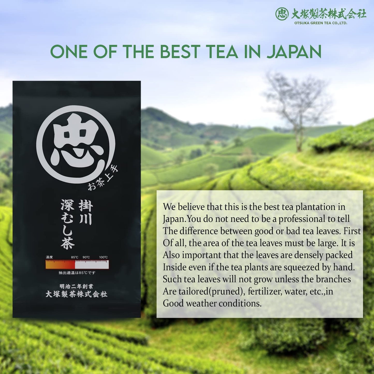Otsuka Green Tea Co - Fukamushi Sencha Green Tea - Loose Leaf Green Tea - Direct Imported From Japan (Black - 100g)