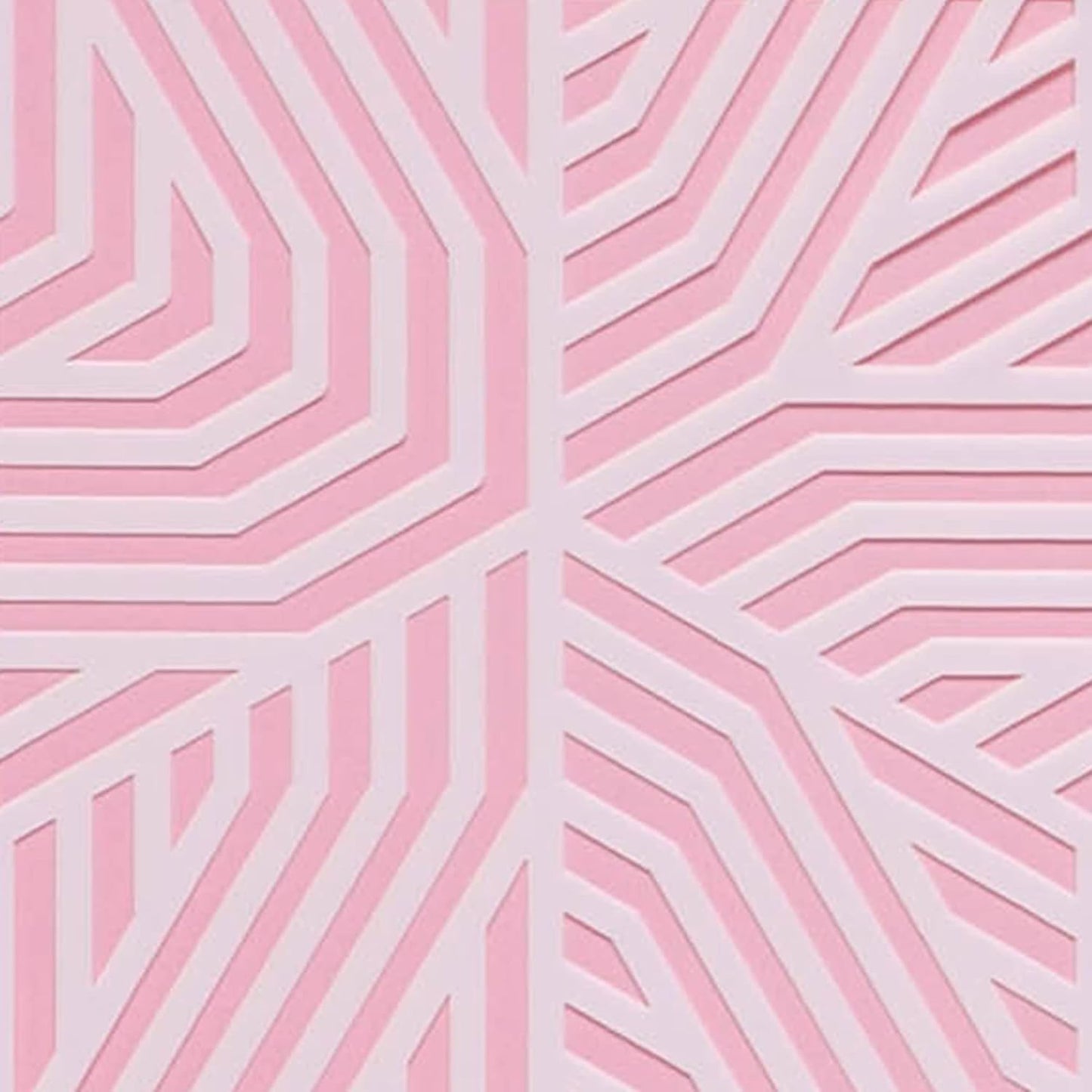 Cake Stencil for Buttercream Cake, Royal Icing, Ganache, Painting, Art and Crafts (HEXALIN)