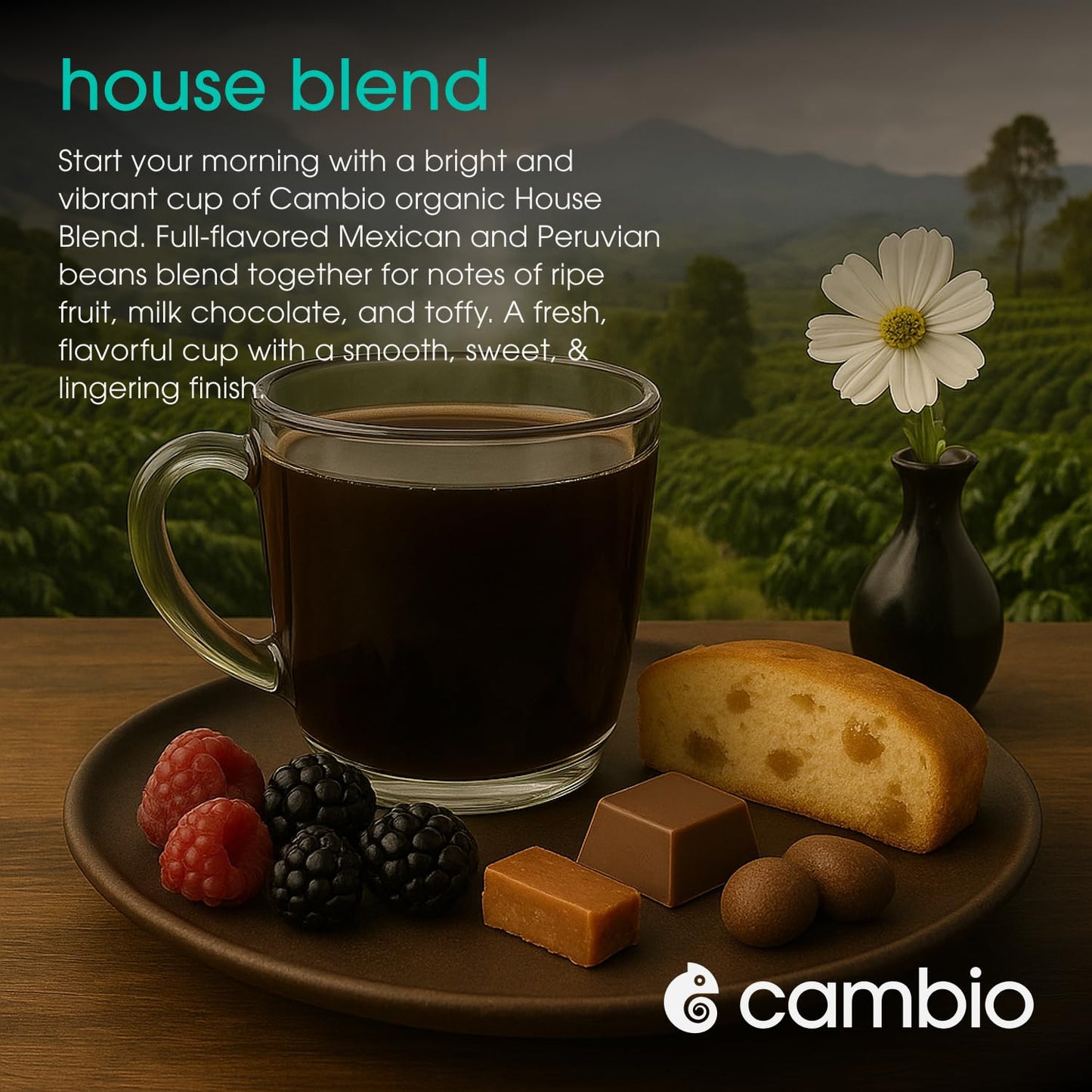 Cambio Roasters House Blend Coffee Pods - Medium Roast K Cup Coffee, Works With Keurig, 10 Count