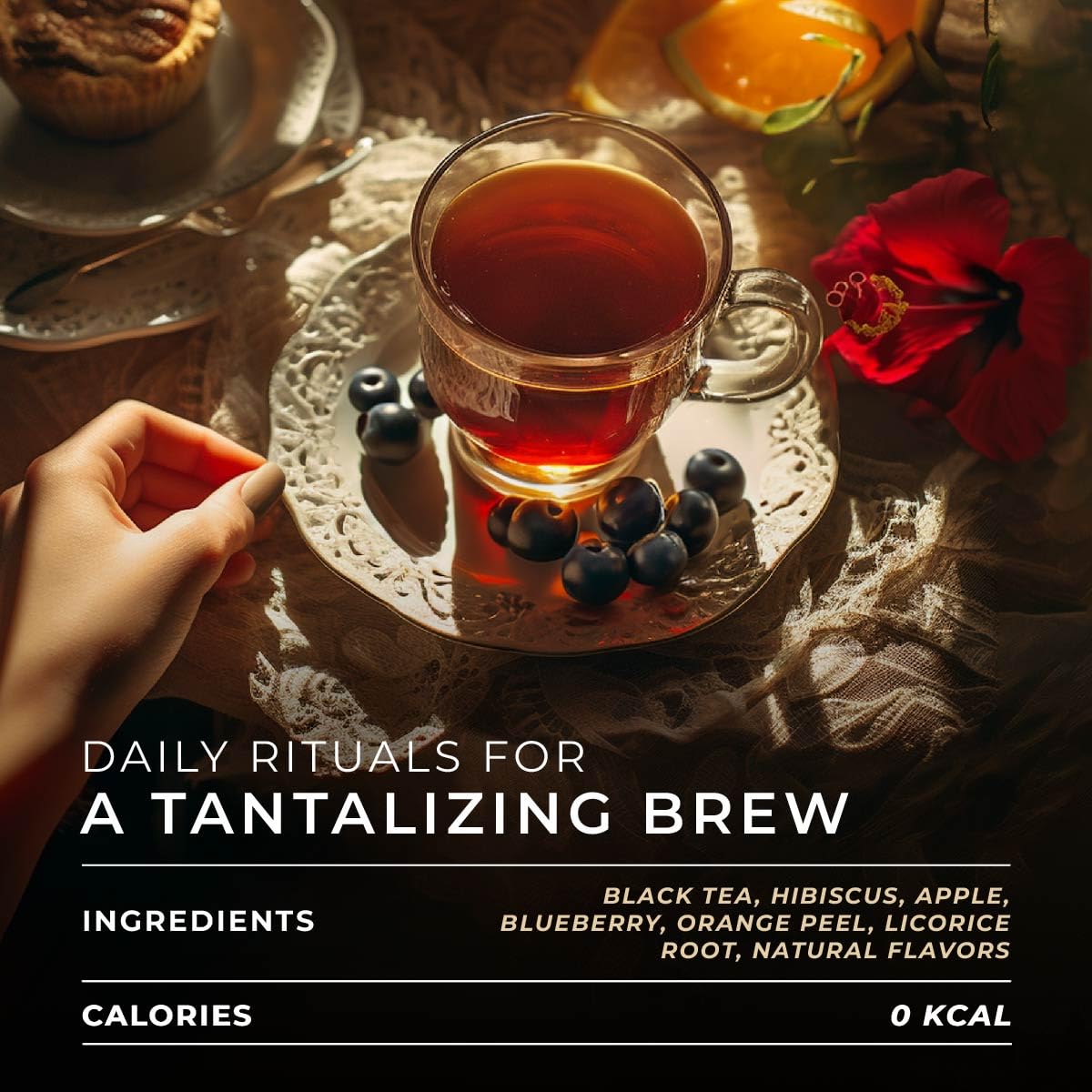 Gya Tea Co Berry Paradise Black Tea Pod (16 ct) - High Caffeinated Smooth Tea with Fruity & Sweet for Refreshed & Energy