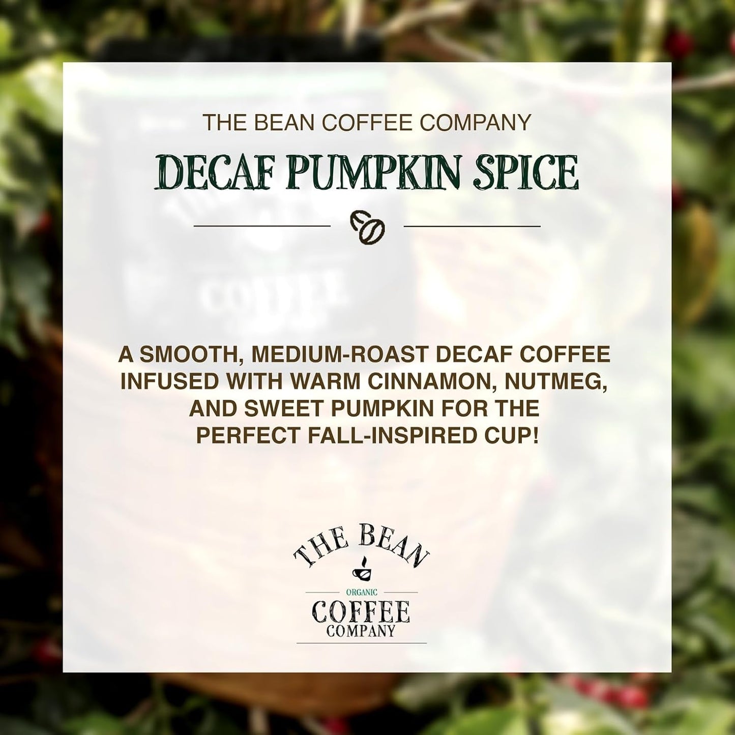 The Bean Organic Coffee Company Water Processed DECAF Pumpkin Spice, Medium Roast, Whole Bean Coffee, 16-Ounce Bag