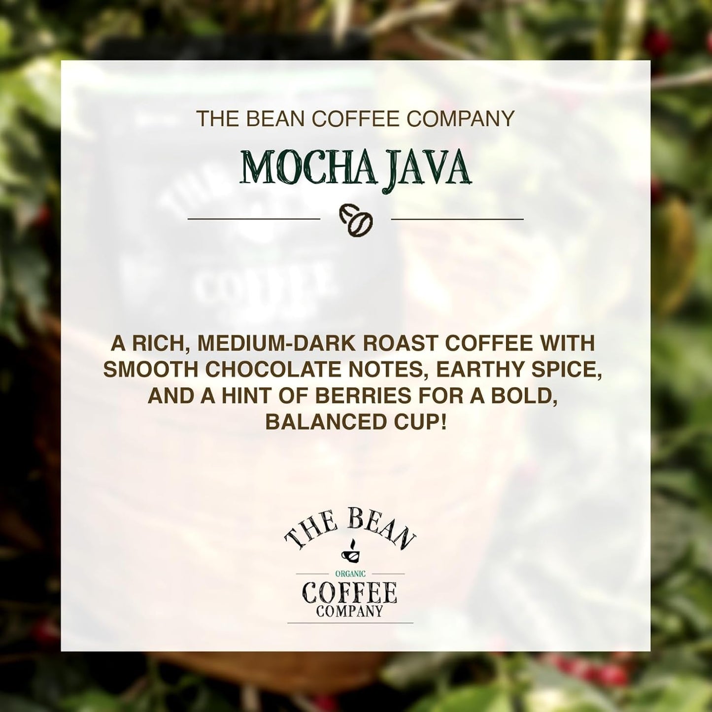 The Bean Organic Coffee Company Mocha Java, Medium Roast, Ground Coffee, 16-Ounce Bags (Pack of 2), Café molido tostado orgánico
