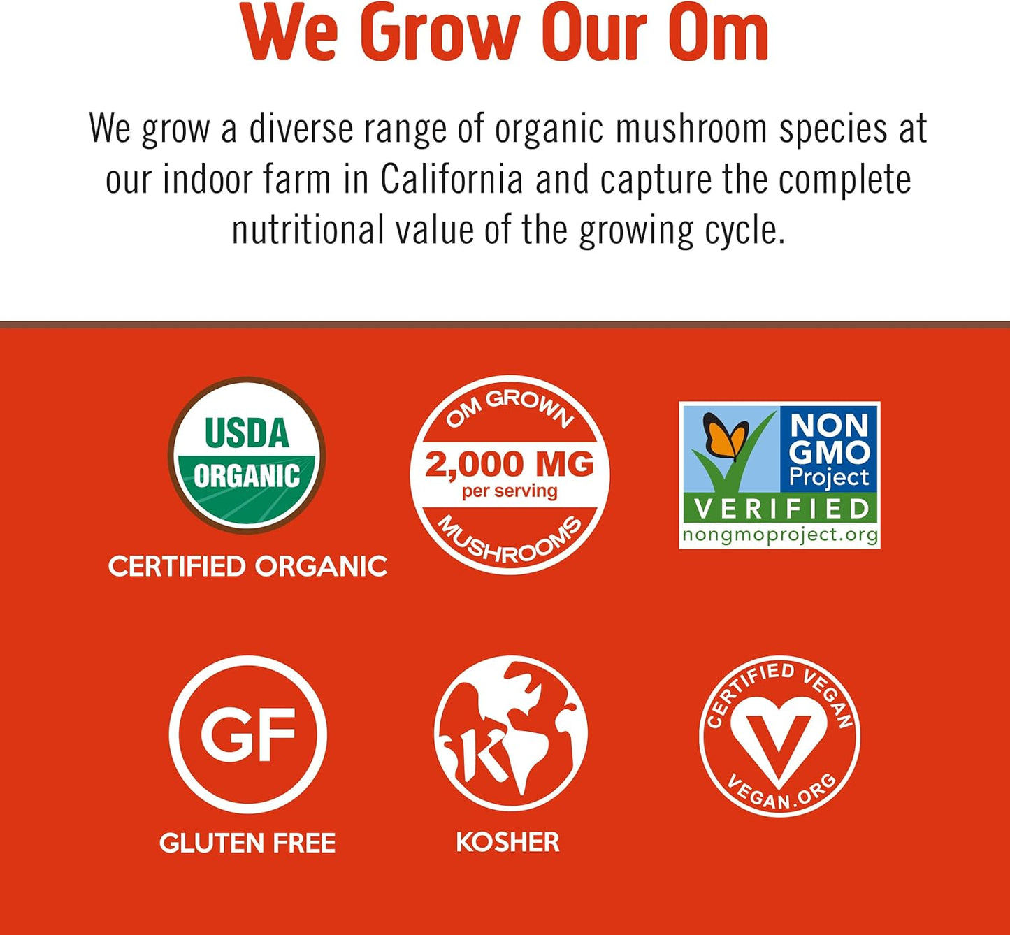 OM MUSHROOM SUPERFOOD Morning Energy Blend Mushroom Powder Drink, 8.47 Ounce Canister, Coffee Free Energy Drink with Cordyceps, Vitamin D2, Agaricus Bisporus, Lion's Mane, Rhodiola, and Turkey Tail