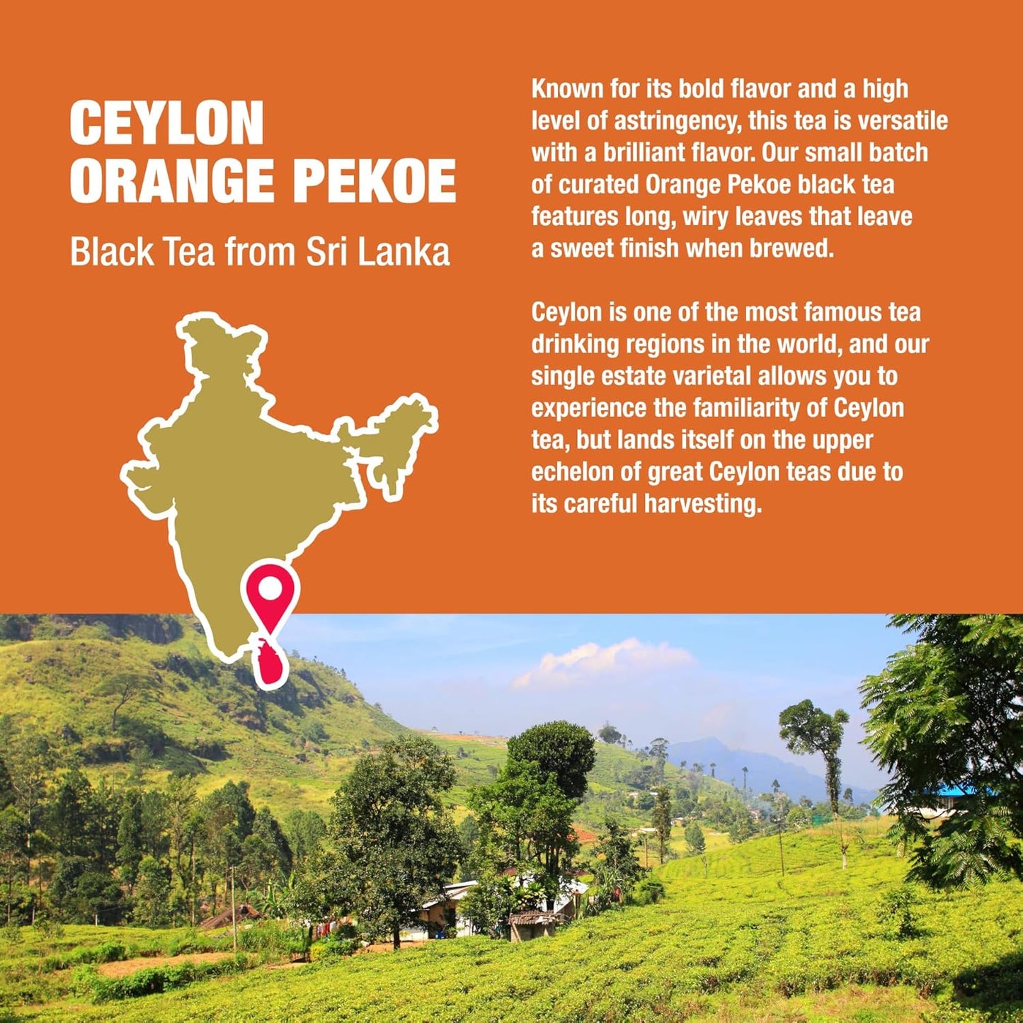 Tiesta Tea - Ceylon Orange Pekoe Black Tea, Loose Leaf, Single Origin Premium from Sri Lanka, Pure Unblended High Caffeinated, Hot or Iced & Brews Up to 200 Cups, 16oz Resealable Bulk Pouch