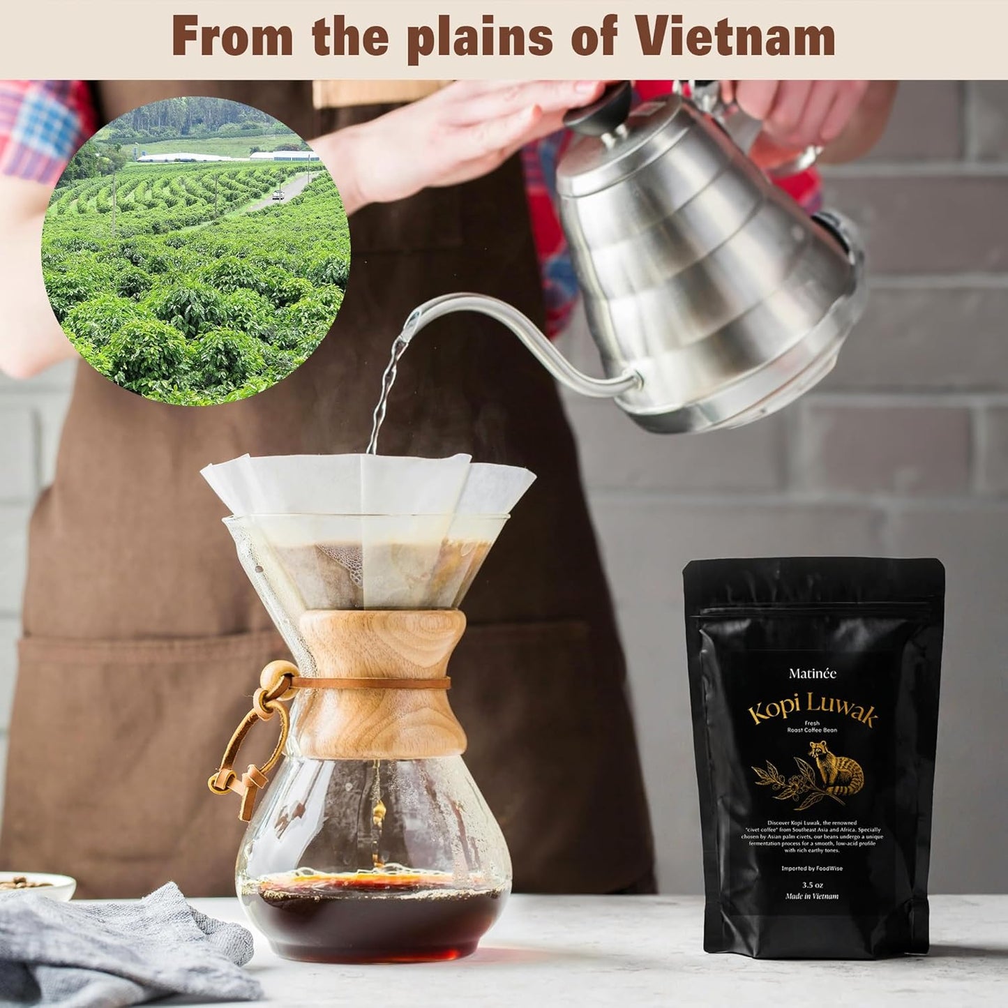 MATINÉE Wild Kopi Luwak Coffee Whole Beans, Medium Roast Luwak Coffee Gifts, Produce of Vietnam, 3.5oz / 100 Grams