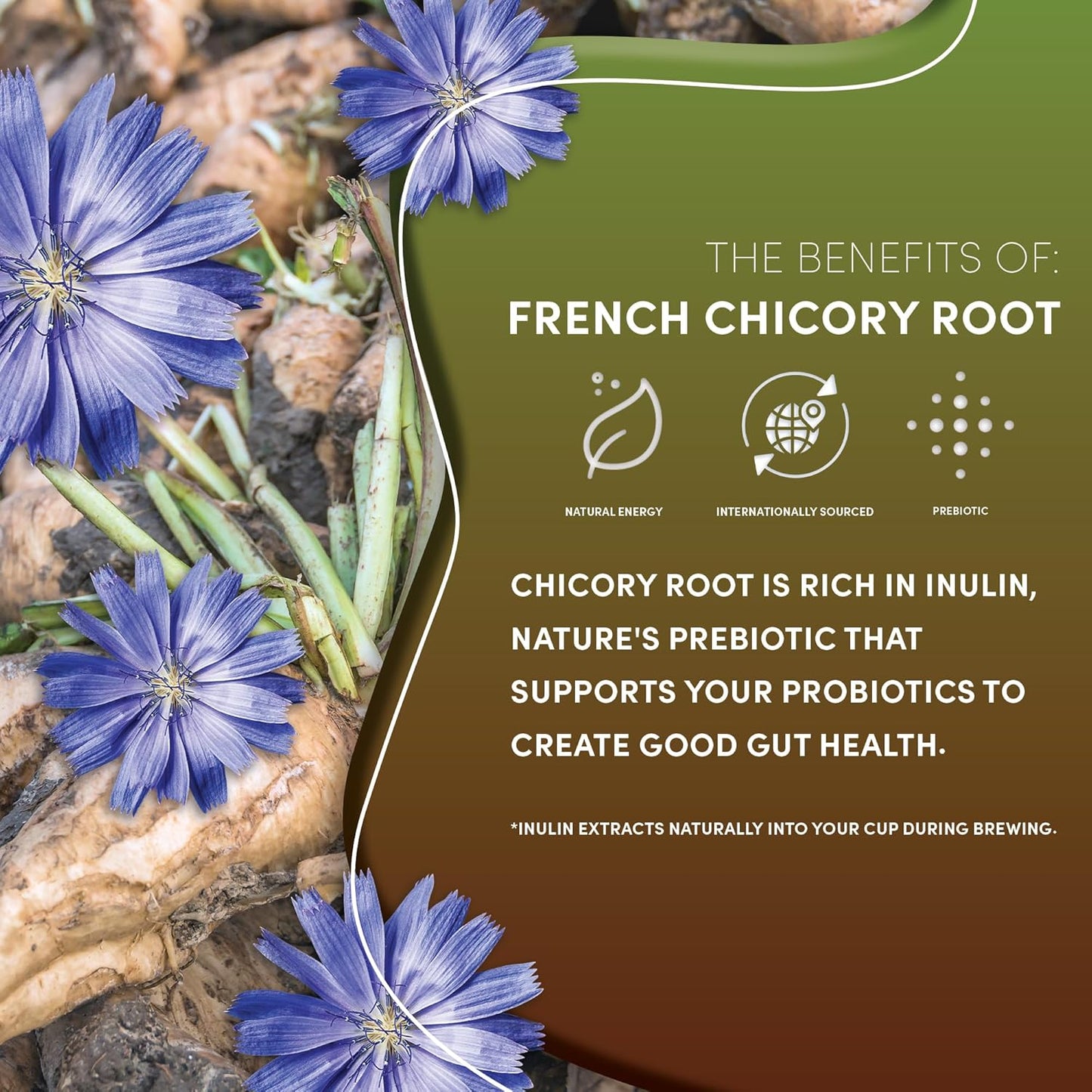 Teeccino French Roast Chicory Coffee Alternative, 11 Ounce: Ground Herbal Coffee That’s Prebiotic, Caffeine-Free & Acid-Free, Dark Roast, with Carob and Chicory, No artificial flavors