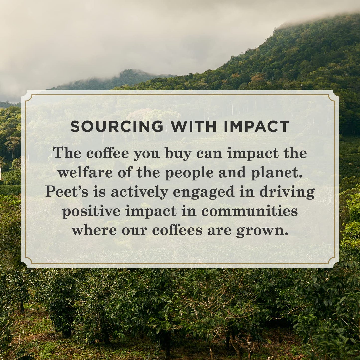 Peet's Coffee, Dark Roast K-Cup Pods for Keurig Brewers - House Blend 96 Count (4 Boxes of 24 K-Cup Pods)