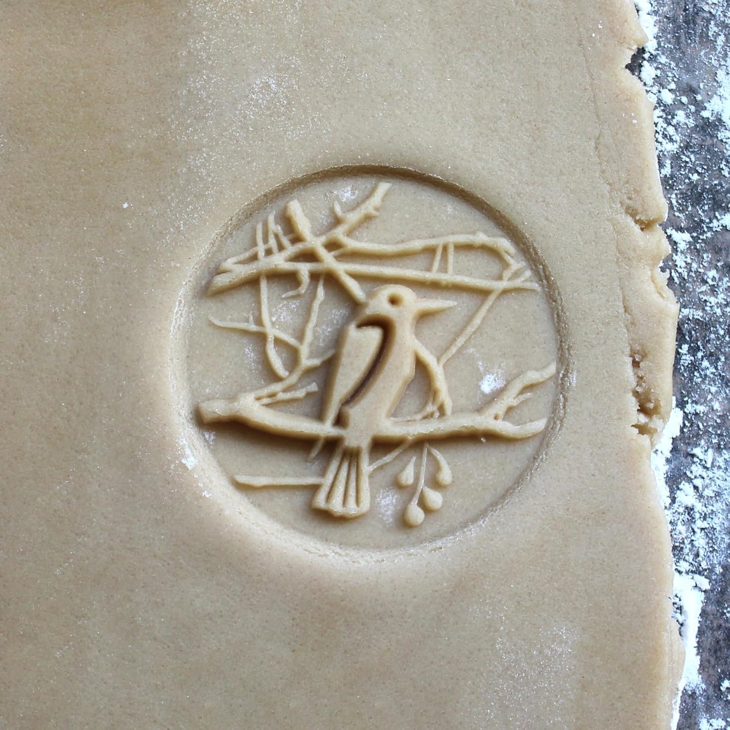 Wood Cookie Stamp, 2.5 Inch (Bird in a Tree CS-123)