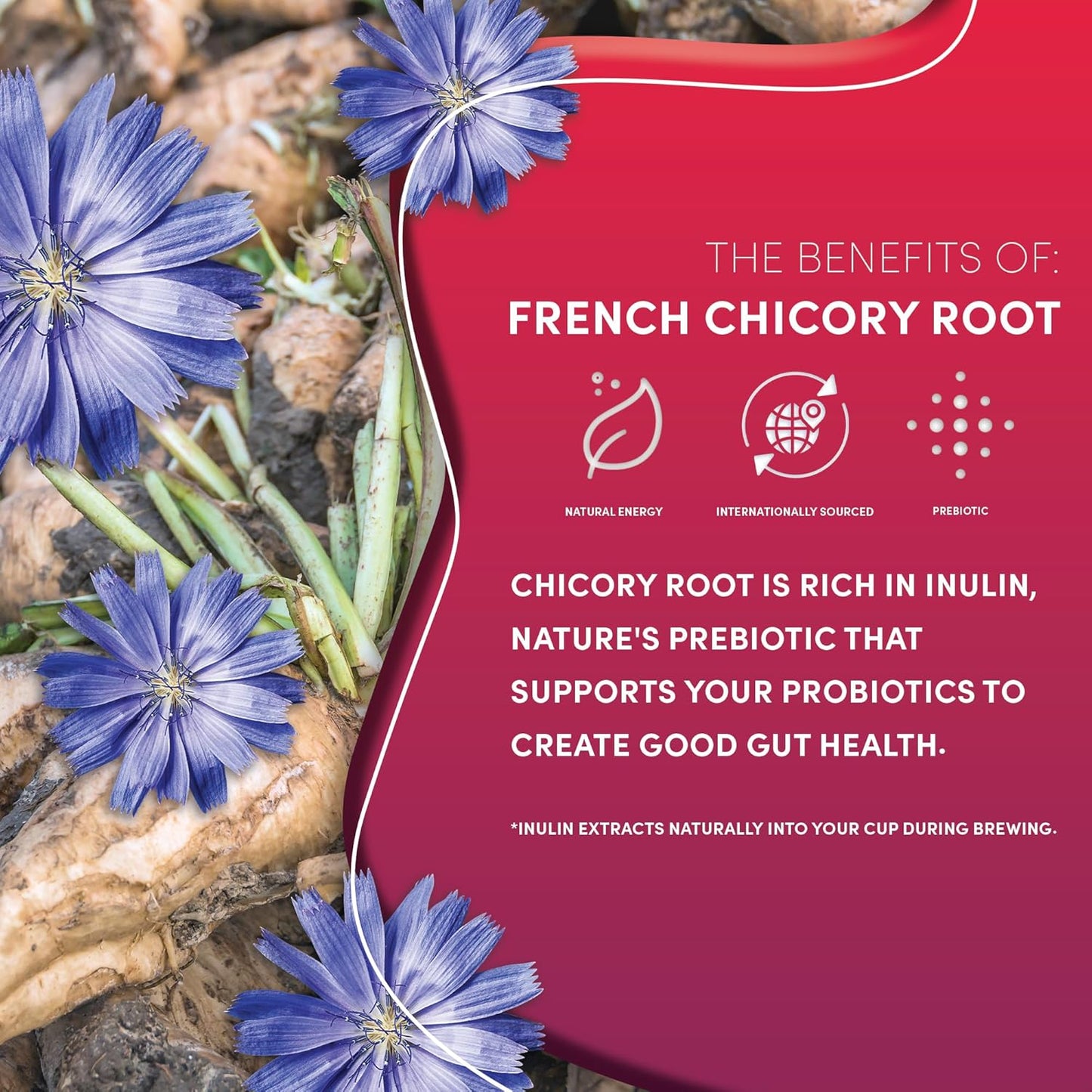 Teeccino Vanilla Nut Chicory Coffee Alternative - Ground Herbal Coffee That’s Prebiotic, Caffeine Free & Acid Free, Medium Roast, 11 Ounce (Pack of 6)