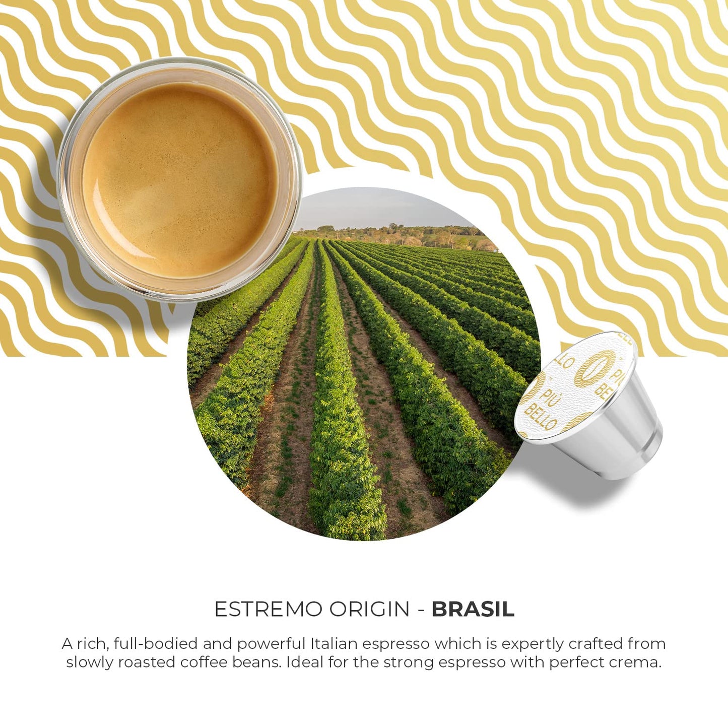 Piu Bello Espresso Estremo Coffee Pods – Espresso Coffee Pods for Nespresso Original Machines – Compatible Capsules Pack – Rich & Balanced Taste – Strong Italian Espresso Flavor – Kosher Certified (60 Count, Single Flavor)