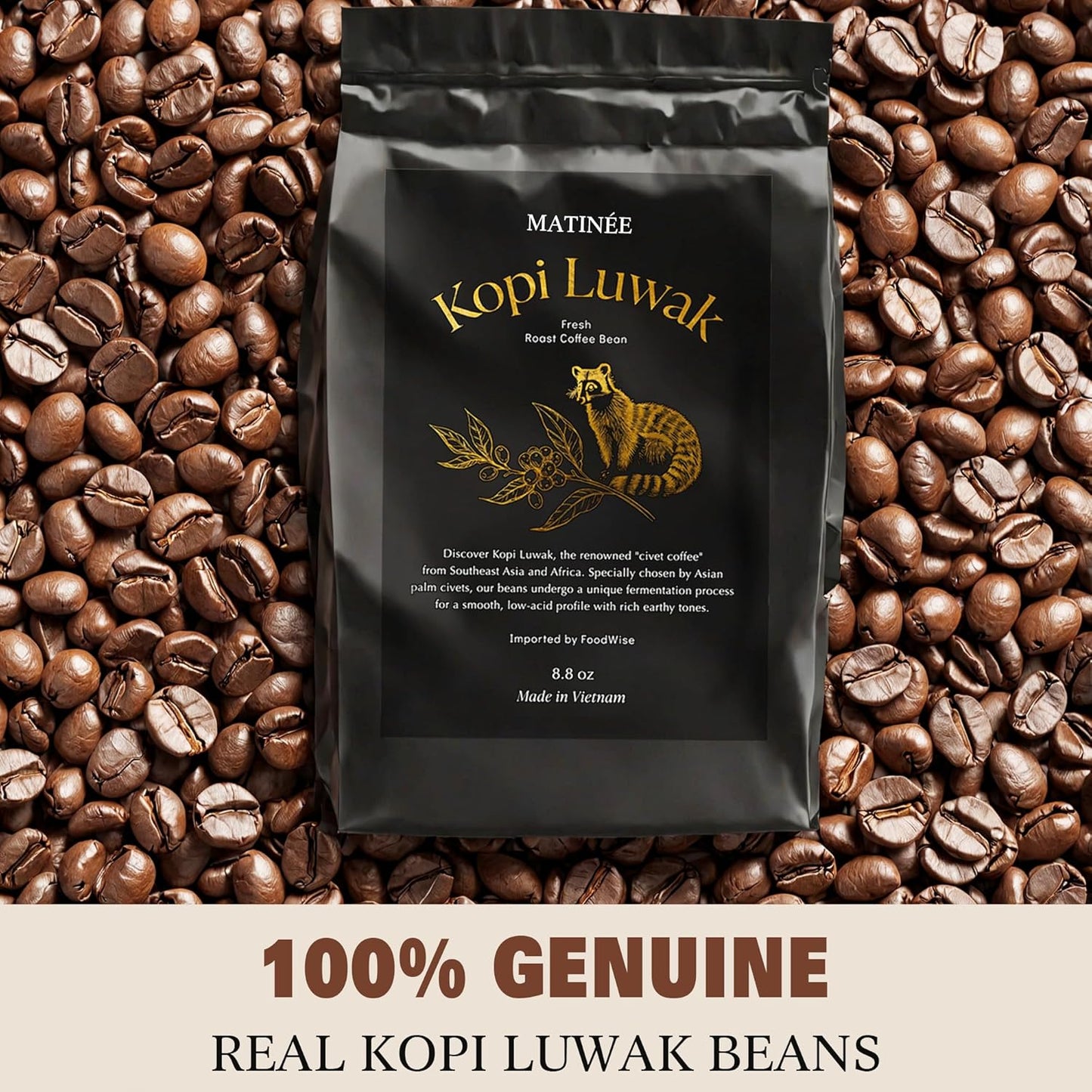 MATINÉE Wild Kopi Luwak Coffee Beans, Medium Roast, Whole Bean Beans, Civet Coffee - Sustainably Sourced From Vietnam, 8.8oz / 250 Grams