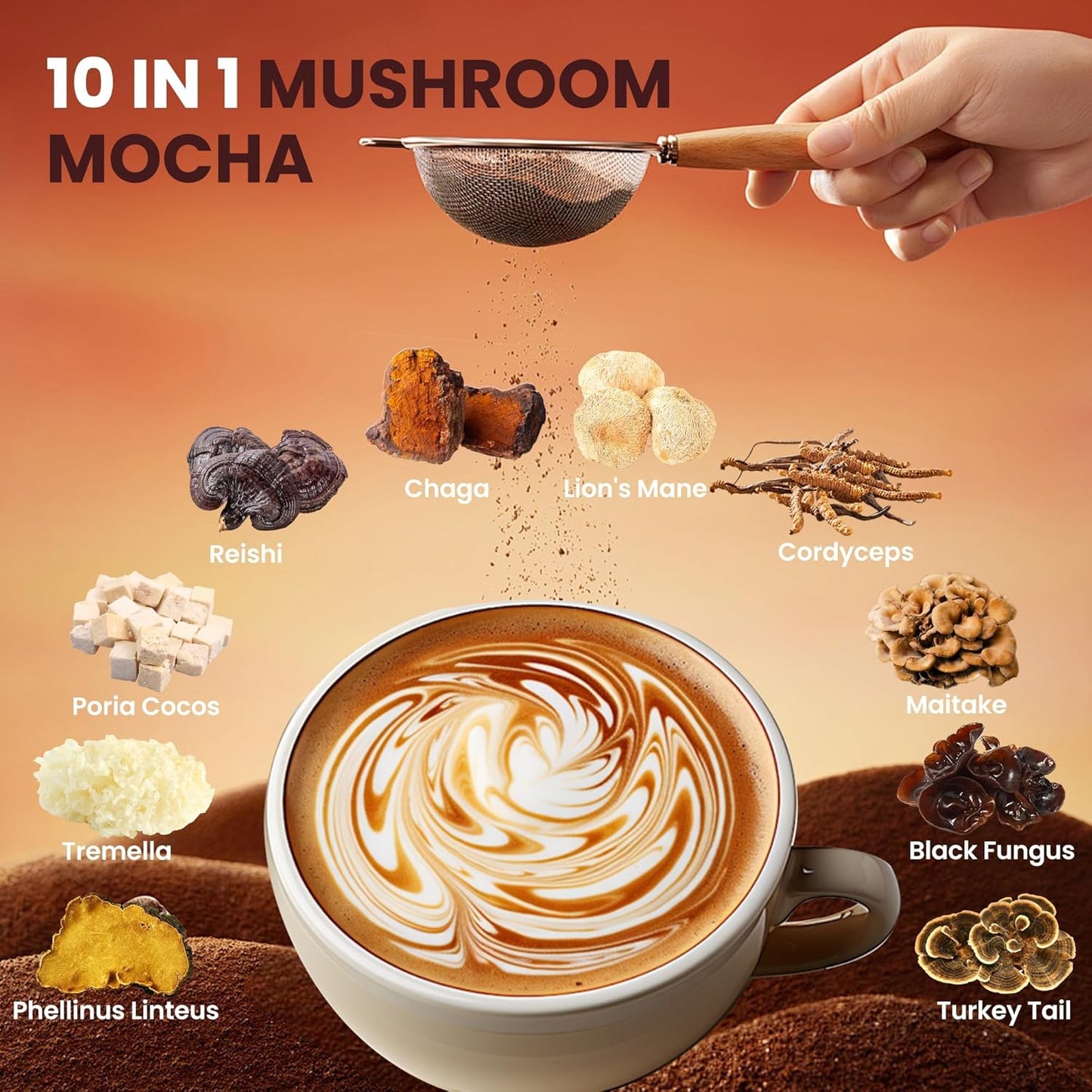 Mushroom Mocha, 10 Mushrooms Blend Mocha Coffee, MCT and Cocoa Powder | Adaptogenic Superfood for Focus, Immunity & Gut Health | Vegan, Gluten-Free, Non-GMO | 8.5 Oz