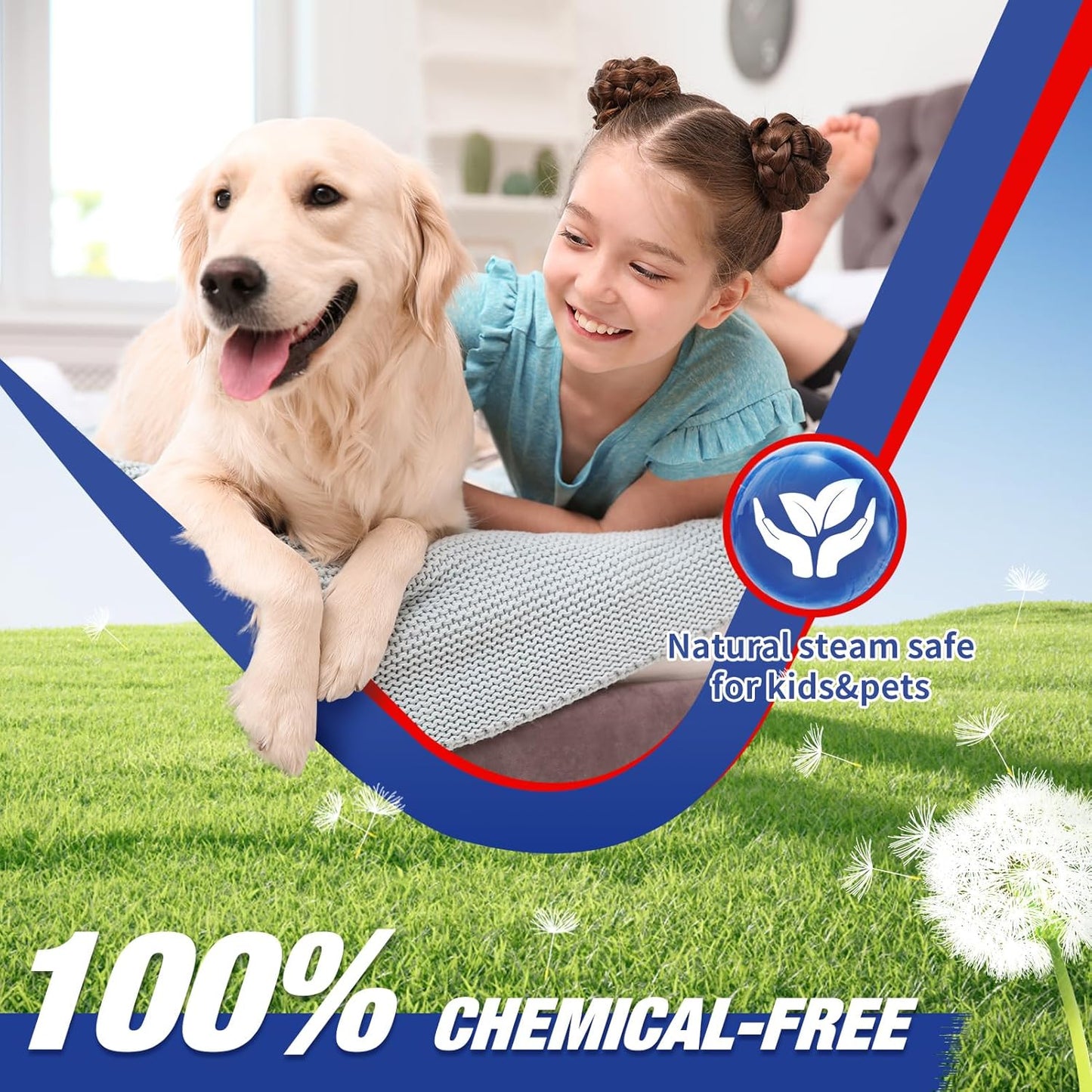 TOTTE Handheld Pressurized Steam Cleaner, 2500W Pressure Portable Cleaner with 3 Brush, 6-gears adjustable for Home Use, Floor, Kitchen,Bathroom, Car (Red)