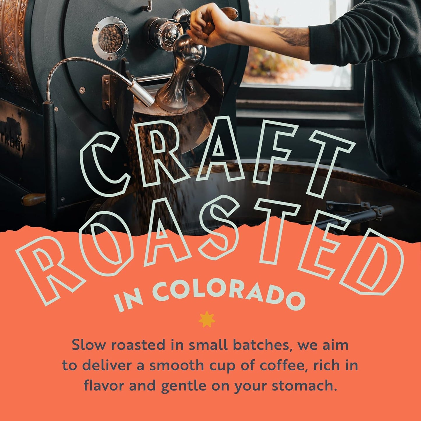 Clean Coffee Co. - Low Acid Medium-Dark Roast, Tested for Molds and Toxins, Papua New Guinea Blend, Notes of Milk Chocolate and Roasted Almonds (Ground, 12 oz Bag)