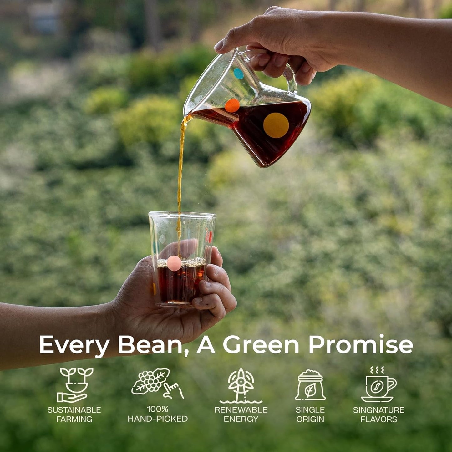 Conihat Whole Bean Coffee - 100% Vietnamese Premium Arabica, Medium Roast, Fruity, Caramel & Hazelnut Notes, Rich & Smooth, Low Acid, Single Origin, Hand-Picked,16 Oz Bag