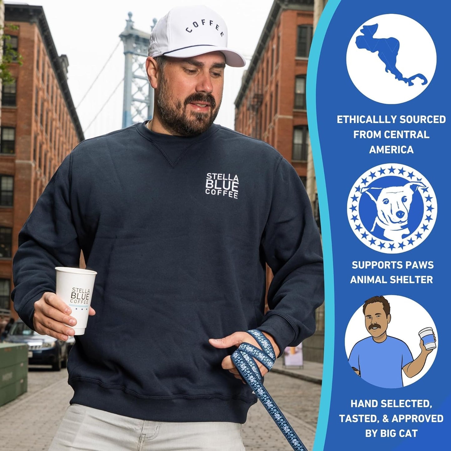 STELLA BLUE Fresh Cold Brew Coffee | Blueberry Muffin | 100% Arabica Medium Roast | Notes of Blueberry Cinnamon and Brown Sugar | Cold Brew Packets | Makes 24 Pods | 6 Easy Cold Brew Pouches