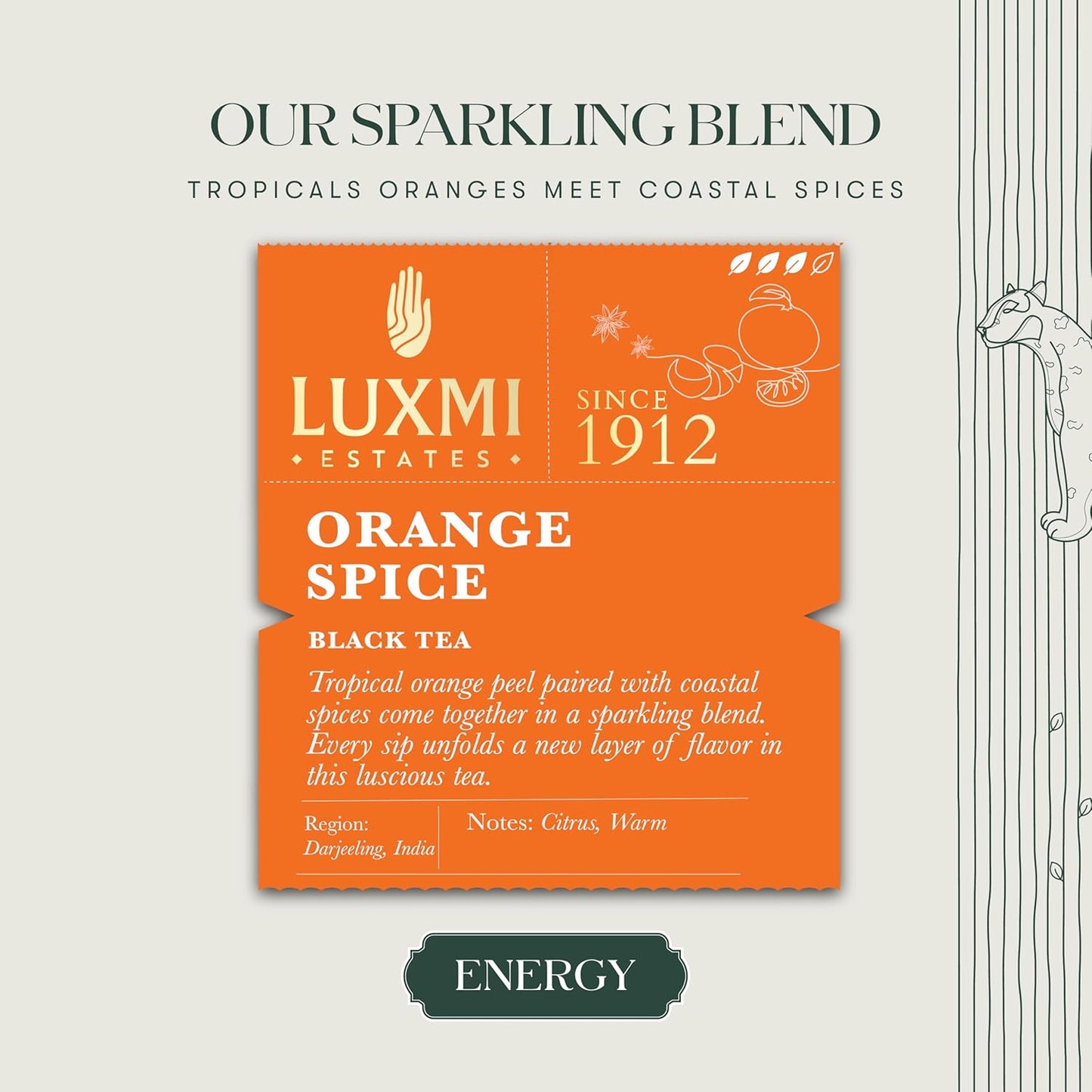 Luxmi Estates Orange Spice Black Tea 50 Tea Bags (100g) Pack | Certified Organic Black Tea | Smooth, Flavorful, Robust, Caffeinated | Darjeeling Tea from India | 50 Cups Bulk Pack