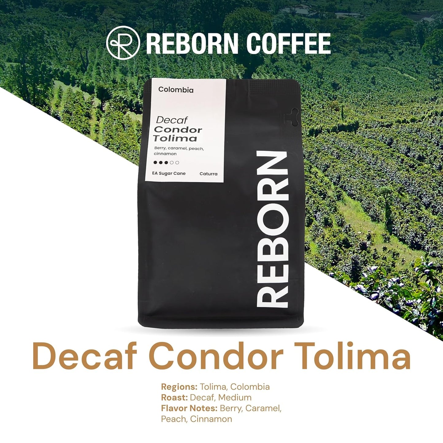 Reborn Coffee Specialty Whole Bean Decaf Coffee, Medium Roast, 12 Ounce, Colombia Condor Tolima, Flavor Notes of Berry, Caramel, Peach, and Cinnamon