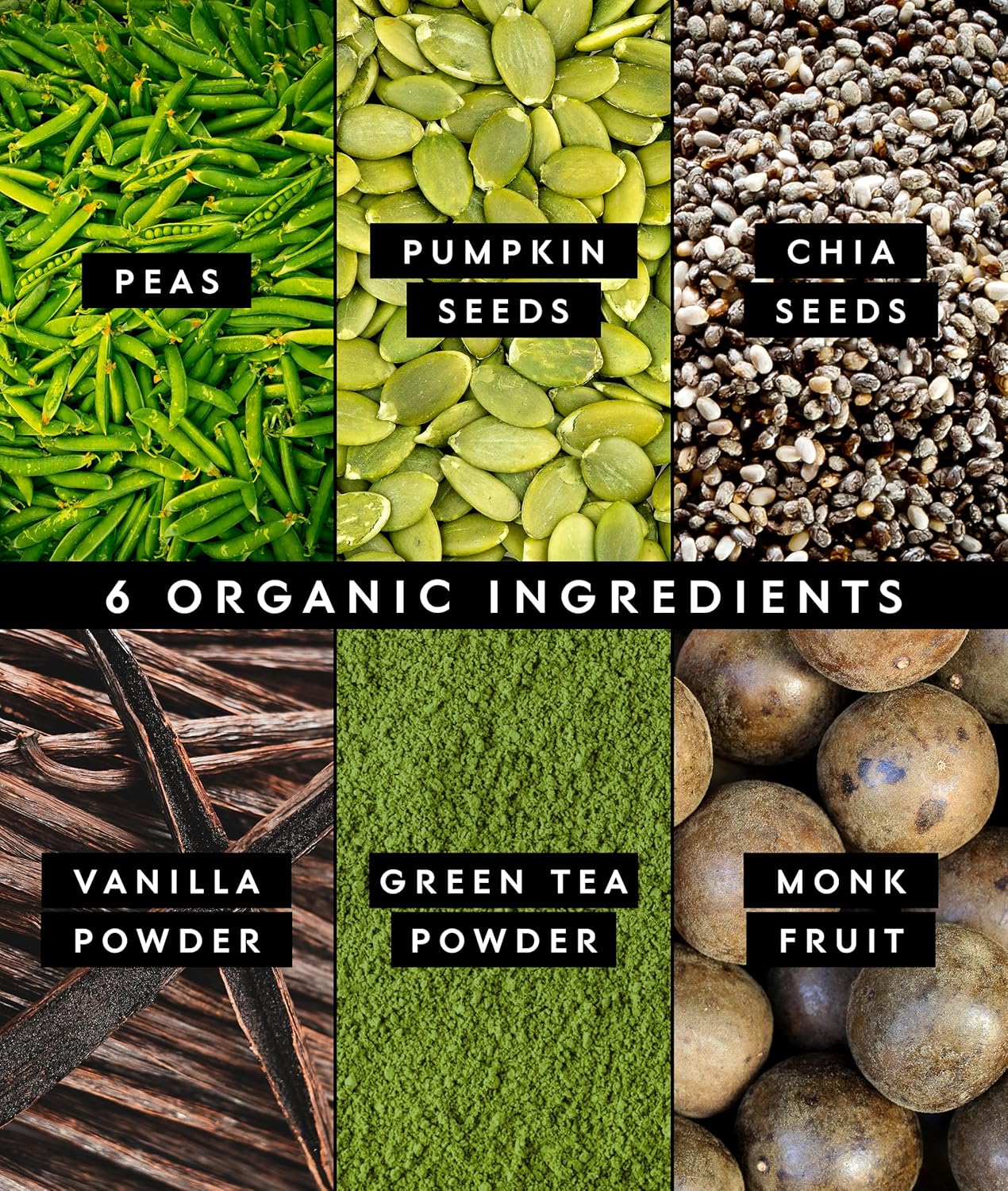 Truvani Vegan Pea Protein Powder | Matcha | 20g Organic Plant Based Protein | 1 Serving | Keto | Gluten & Dairy Free | Low Carb | No Added Sugar