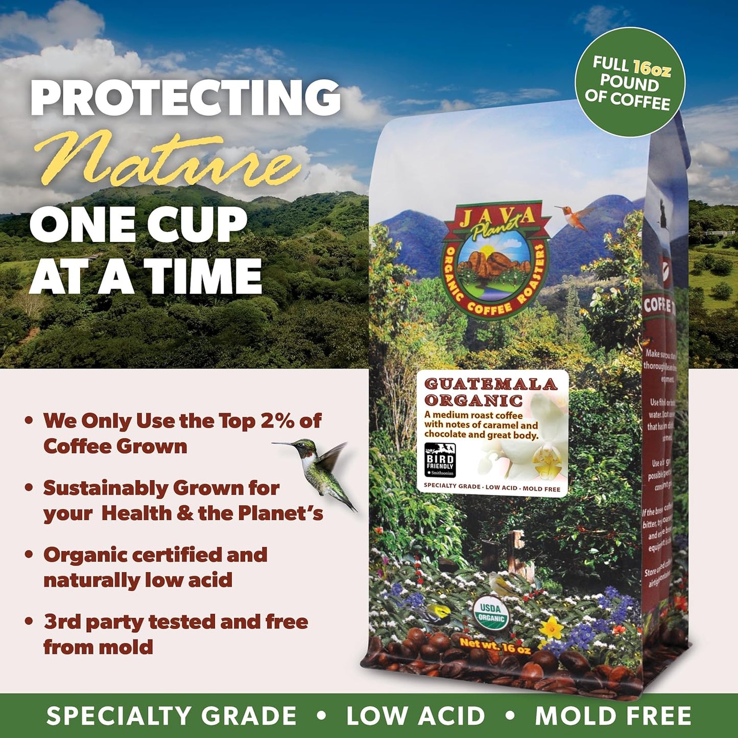 Low Acid Organic Coffee – Whole Bean, Mold-Free & Stomach Friendly by Java Planet, Guatemalan Single Origin Coffee, Medium Roast, Smooth Full Flavored, Smithsonian Bird Friendly, 1LB Bag