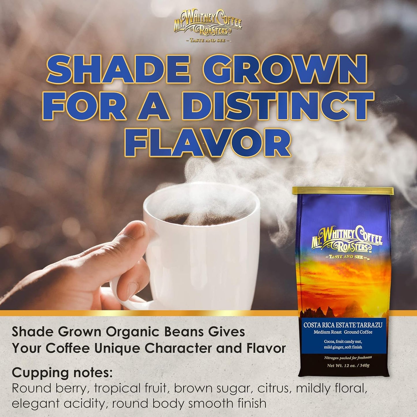 Mt. Whitney Costa Rica Estate Tarrazu Low Acid Coffee (Ground, 12 Oz)